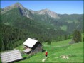 /album/gusenalm-am-goldeck/gusenhutte-auf-gusenalm-jpeg/